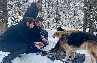 AK Parti doğadaki hayvanların ihtiyaçlarının karşılanması için seferberlik başlattı