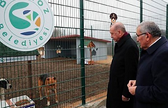 Başkan Erdoğan, Beykoz hayvan barınağını ziyaret etti